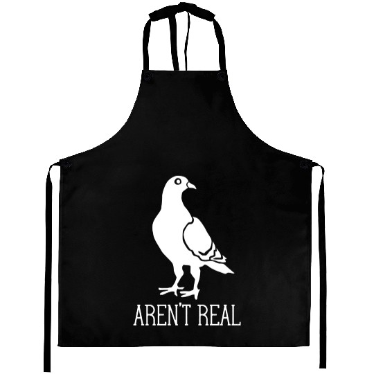 Birds Aren t Real Conspiracy Pigeon Retro Aprons