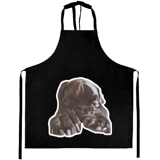 Cane corso in its natural sleeping environment Aprons