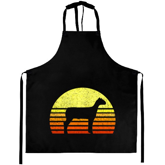 Sheep Livestock Show Future American Lamb Farmer C Aprons