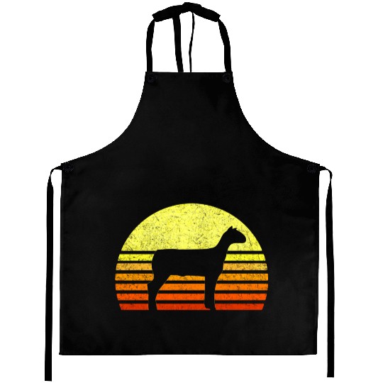 Sheep Livestock Show Future American Lamb Farmer C Aprons