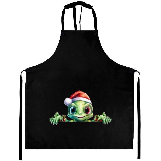 Winter Frog in a Santa Hat Aprons
