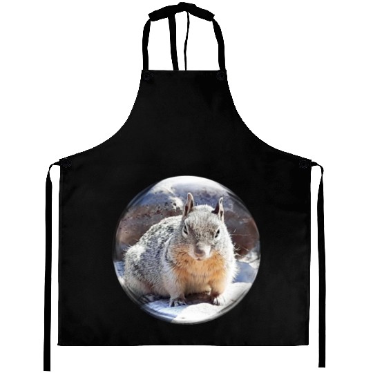 Life In a Bubble Collection- Grand Canyon Squirrel Aprons