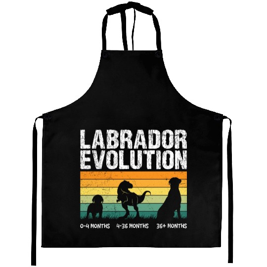 Labrador EVOLUTION Labrador Lovers Funny Aprons