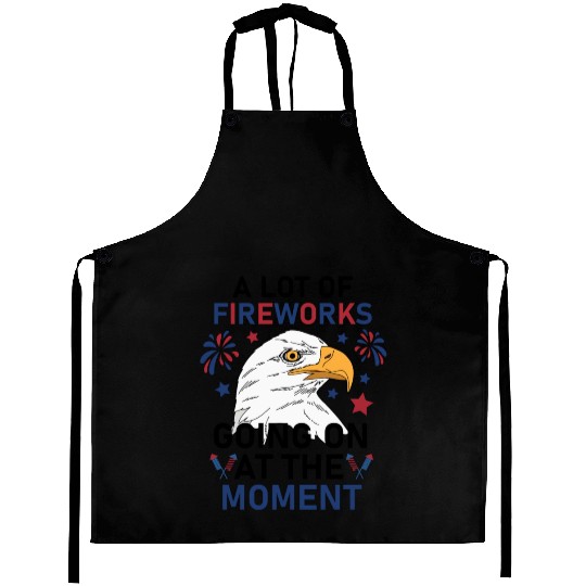 Funny 4Th Of July 2025 A Lot of Fireworks Going on Aprons