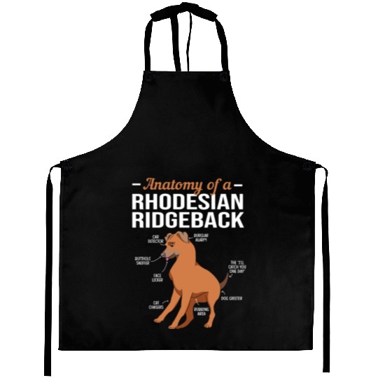 Dog Anatomy Of A Rhodesian Ridgeback Aprons