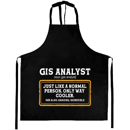 Map Maker World Mapping GIS Analyst Definition Aprons