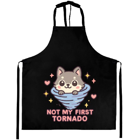 Not My First Tornado Storm Weather Meteorologist Aprons