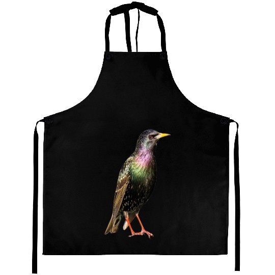 3 Bird Aprons