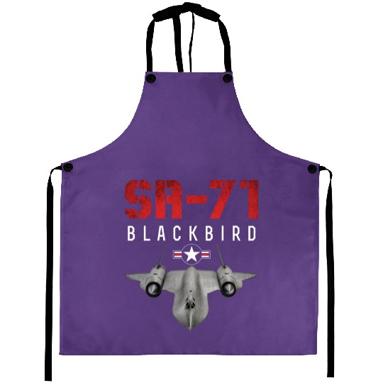 SR 71 Blackbird US Airborne Fighter Pilot Aprons
