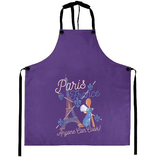 Disney Pixar Ratatouille Remy Paris France Poster Aprons