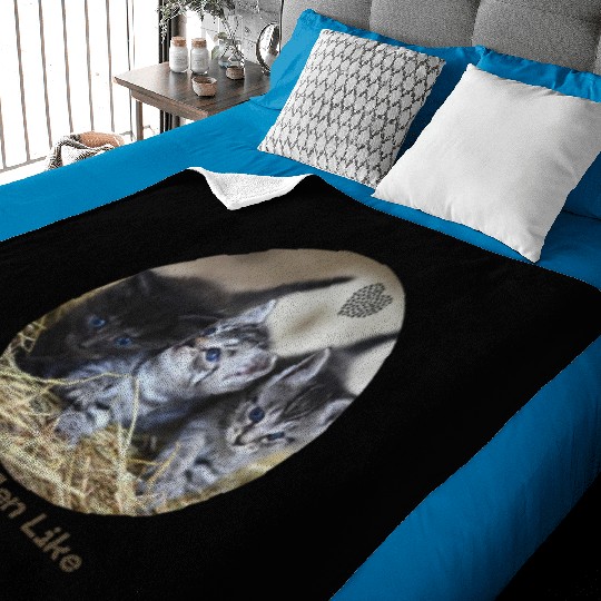 Kittens love Baby Blankets