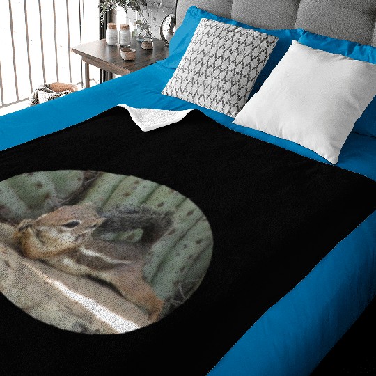 Harris's antelope squirrel Baby Blankets