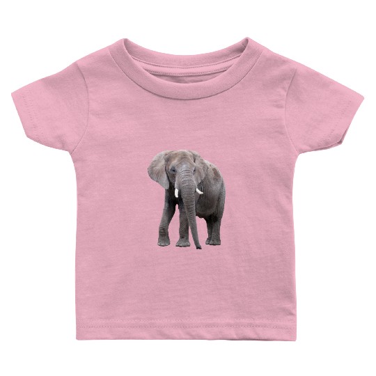 Elephant Baby T Shirts