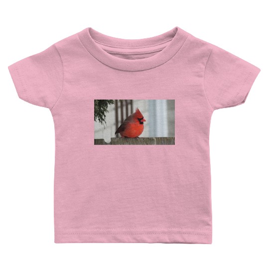 Brilliant Cardinal Bird 2 Baby T Shirts