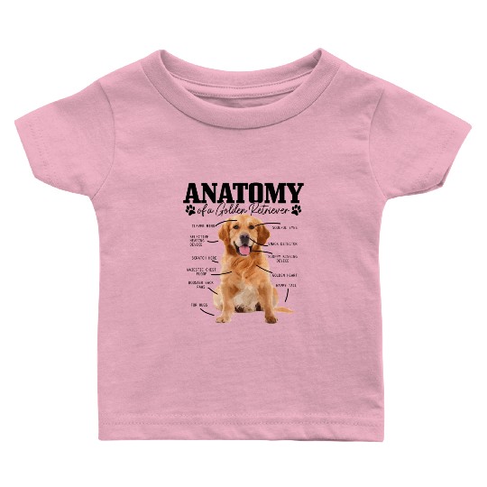 Anatomy Of A Golden Retriever Dog Mom Dad Baby T Shirts