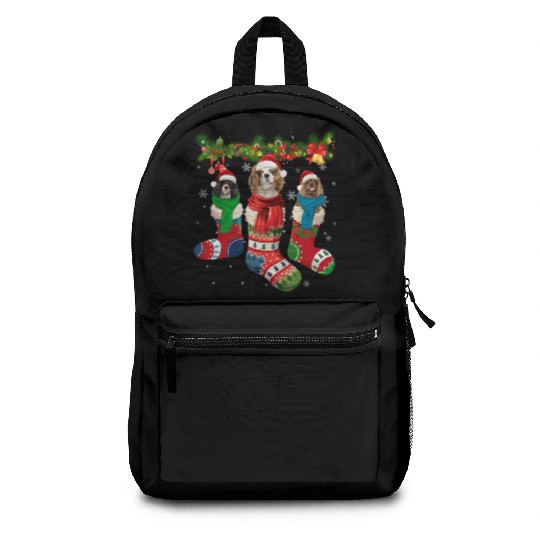 Three Cavalier King Charles Spaniel In Sock Backpacks