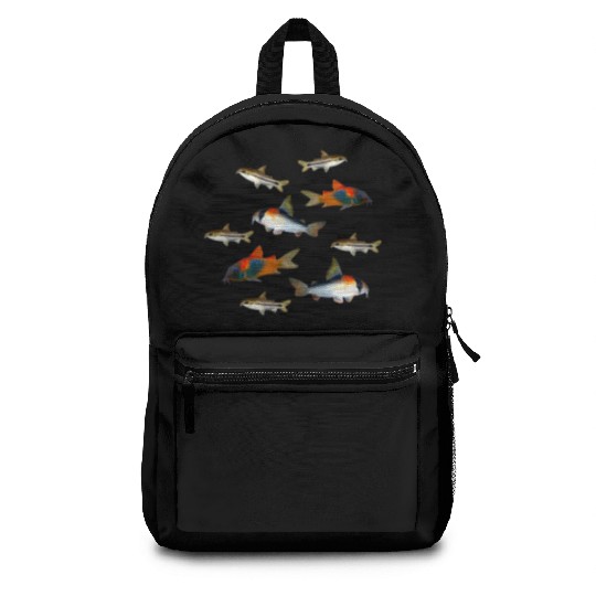 Pygmy Corydoras Adolfoi Corydoras Catfish Aquarium Backpacks