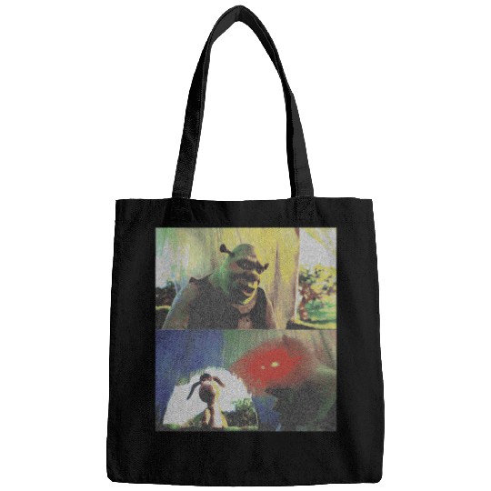 FOR FIVE MINUTES  : Shrek Same Swamp Forever , Shrek Shirt, Disney Fiona Princess , Shrek,Shrek Bags