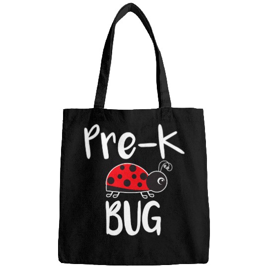 PreK Bug Ladybug Pre Kindergarten Teacher Funny Bags