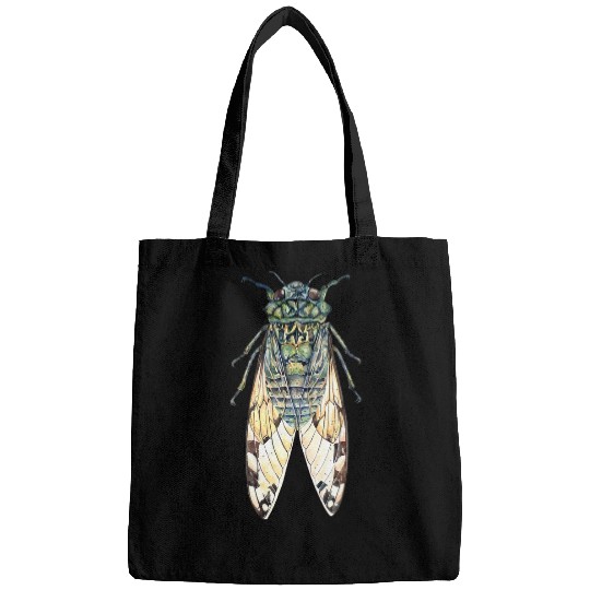 Cicada Insect Great Eastern Brood X USA 2Magicicada 21 Bags