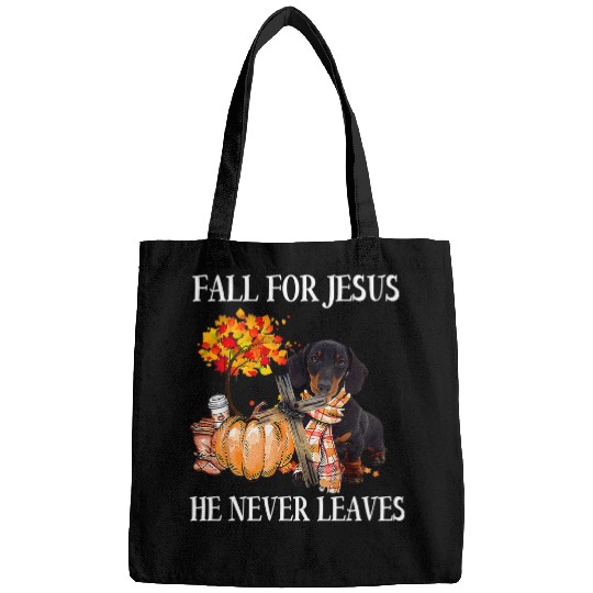Dachshund Pet Fall For Jesus He Never Leaves Bags