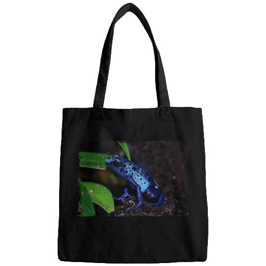 Frog Pet Colour Frog Tree Climber Frog Funny Arrow Poison Frog 8 Bags