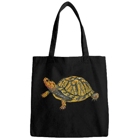 Turtle Pet Box Turtle Realistic Illustration Shell Animal Bags