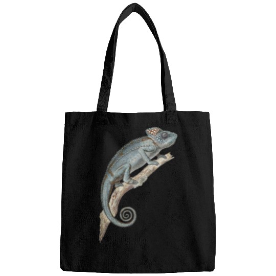 Chameleon Pet Lizard Spiny Chameleon Reptile  Lizard 1 Bags