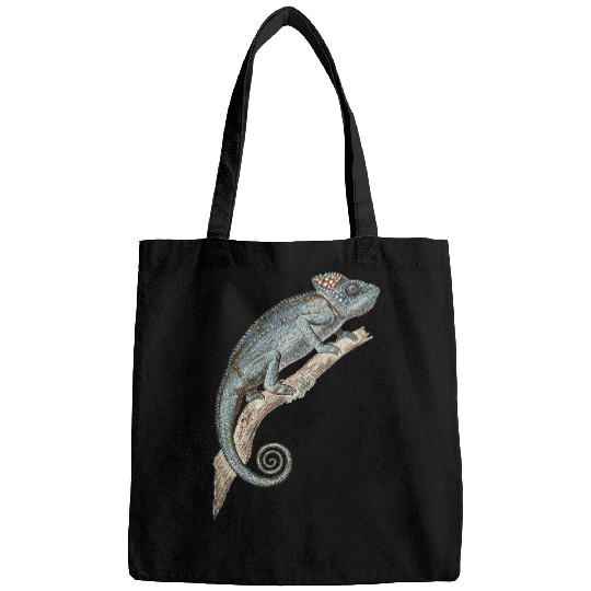 Chameleon Pet Lizard Spiny Chameleon Reptile  Lizard 1 Bags