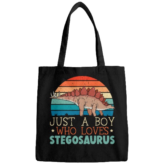 Dinosaur Pet Just A Boy Who Loves Stegosaurus Paleontologist Dinosaur 1 Bags