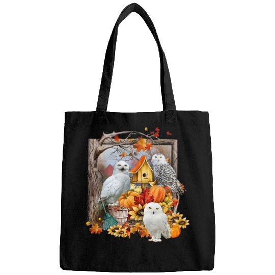 Owl Pet Nest Box With Pumpkin Maple Leaves In Autumn Season Bags