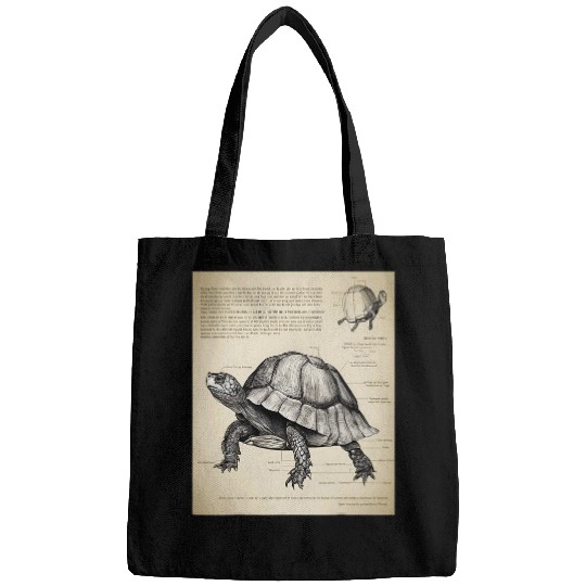 Turtle Pet Box Turtle Structural Blueprint Bags