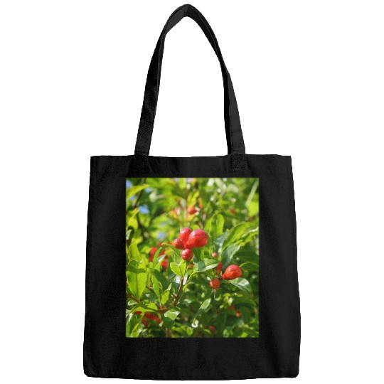 Pomegranate Closed Red Flower Bud Photography Bags