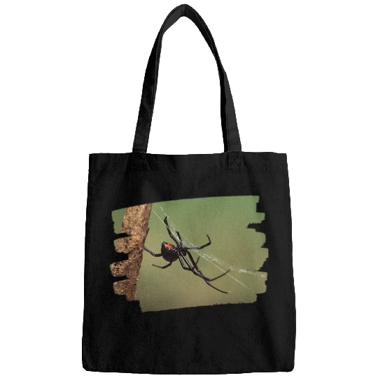 Lacrosse Gift Black Widow Spider 25 Bags