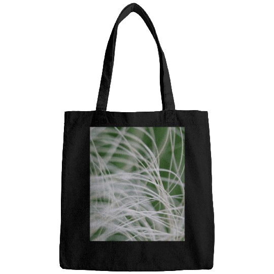 Abstract Macro Photograph Of Mediterranean Palm Bags