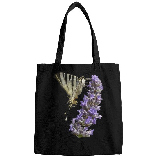 Side View Of Scarce Swallowtail Butterfly Feeding On Lilac Bags