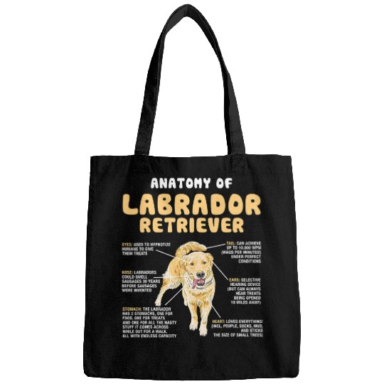 Labrador Lab Dog Anatomy Of Labrador Retriever Lovers Funny Lab Owners Bags