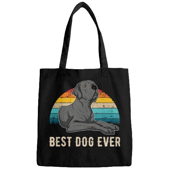 Dog Great Dane German Mastiff Great Dane Sunset 29 1 Bags