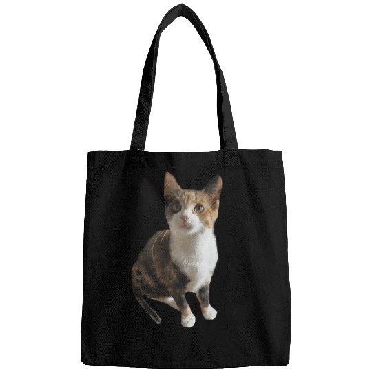 calico cat Classic Bags