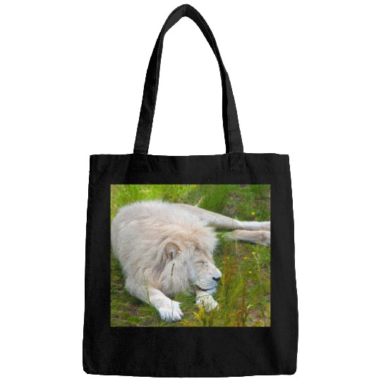 Slumbering Ivory King South African White Lion Bags