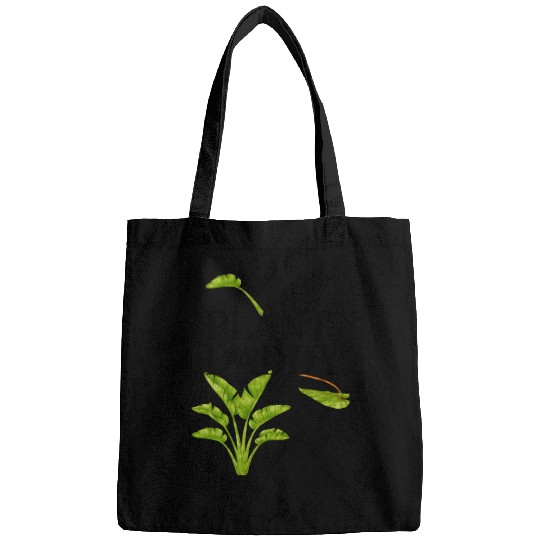 Plant Daddy Bags
