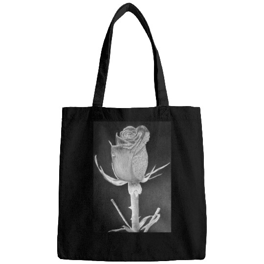 Realistic Graphite Rose & Dew Drawing - RT Art © Bags