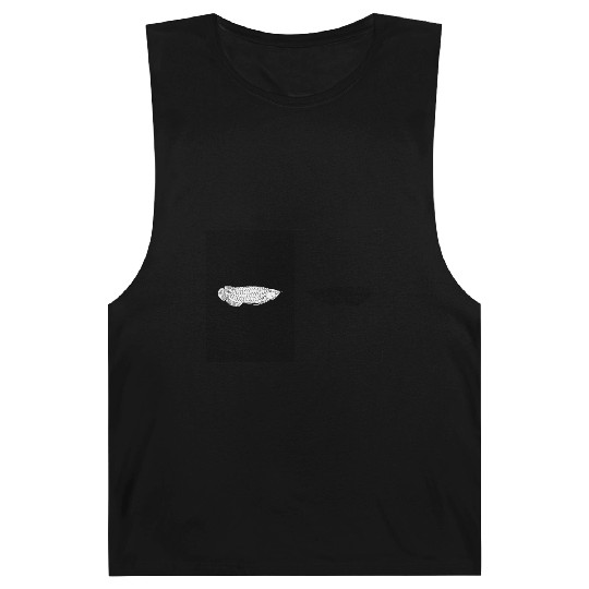 Asian arowana fish illustration for kids Barnard Tanks