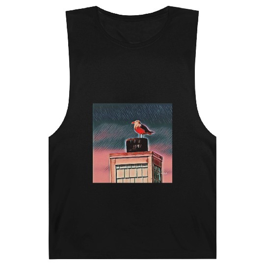 Seagull Barnard Tanks