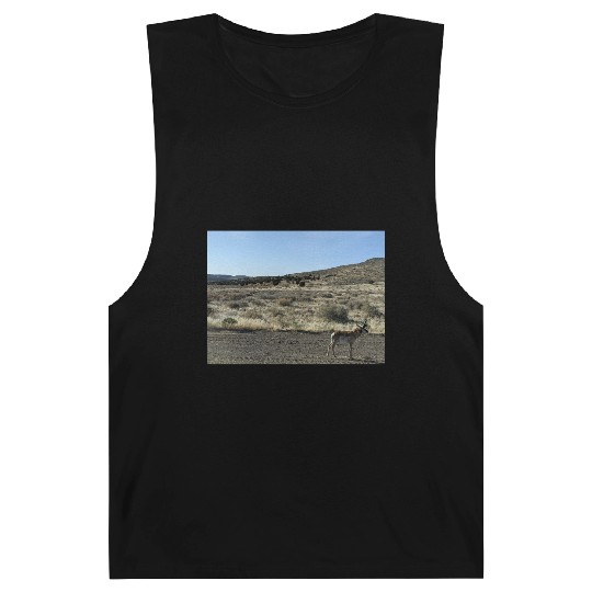 Antelope near Grand Canyon West Barnard Tanks