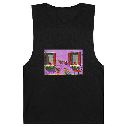 Windows of Venice Italy 1904 Barnard Tanks