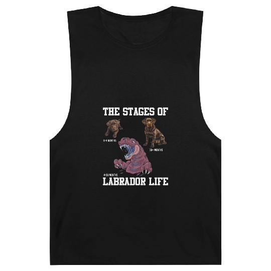 Labrador Lovers STAGES OF A LABRADOR LIFE Barnard Tanks