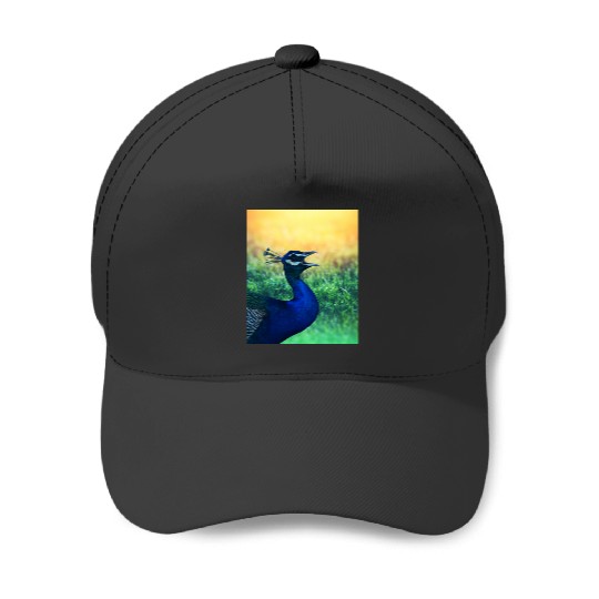 Disney-Up Shirt, Kevin Up Shirt, Up Balloon Shirt, Disney-Balloon Baseball Caps