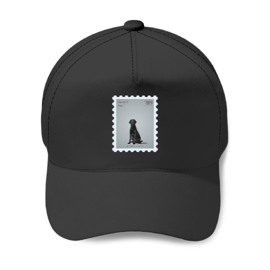 The Black Dog Tayl0r Swift TTPD Baseball Caps