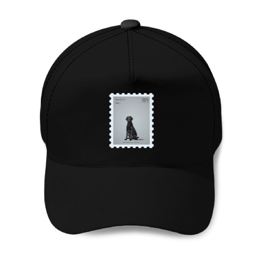 The Black Dog Tayl0r Swift TTPD Baseball Caps